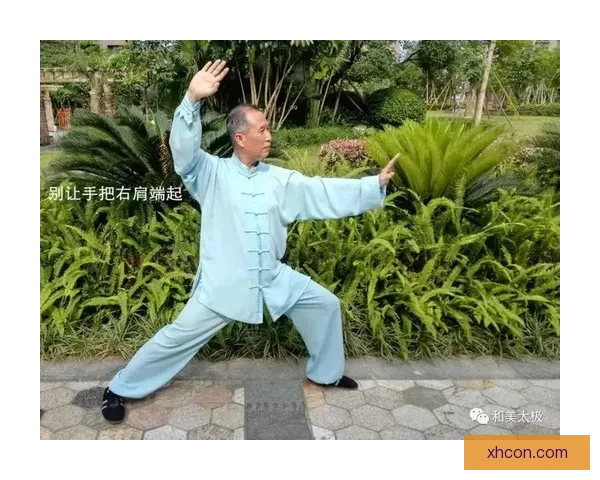 太极拳与咏春拳的技法比较与实战应用多维解析